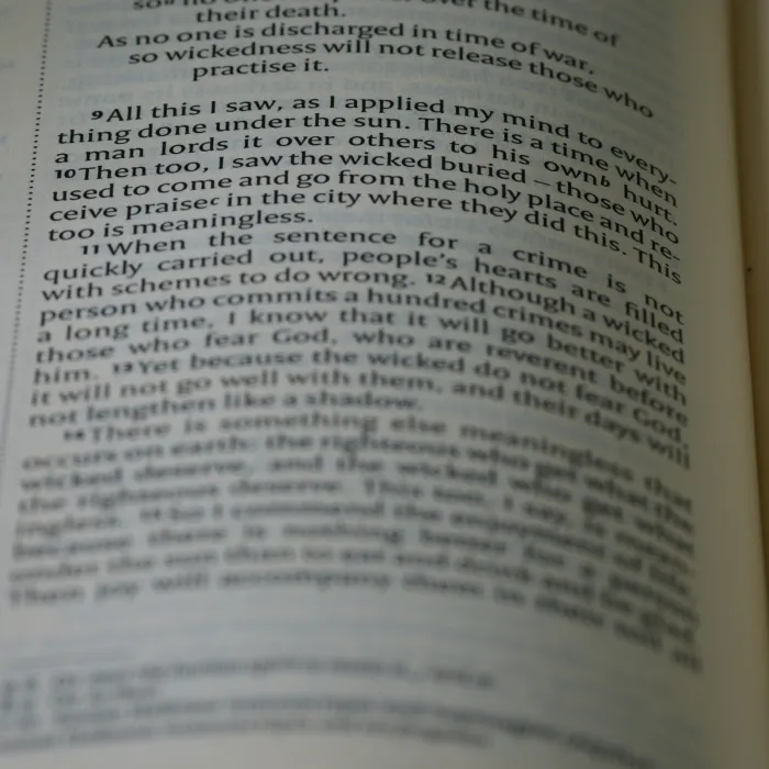 Nahaufnahme, Bokeh, Makro, Unschärfe, unscharfer Hintergrund, Nahfokus, Bibel, Altes Testament, Hebräische Bibel, Christentum, Judentum, Geschichte, Text, Lesen, Bibelstudium, Andachten, Text, NIV, Neue Internationale Version, Typ, Typografie, Kanon, Christentum, Heilige Schrift, Heilige Bibel, Sch